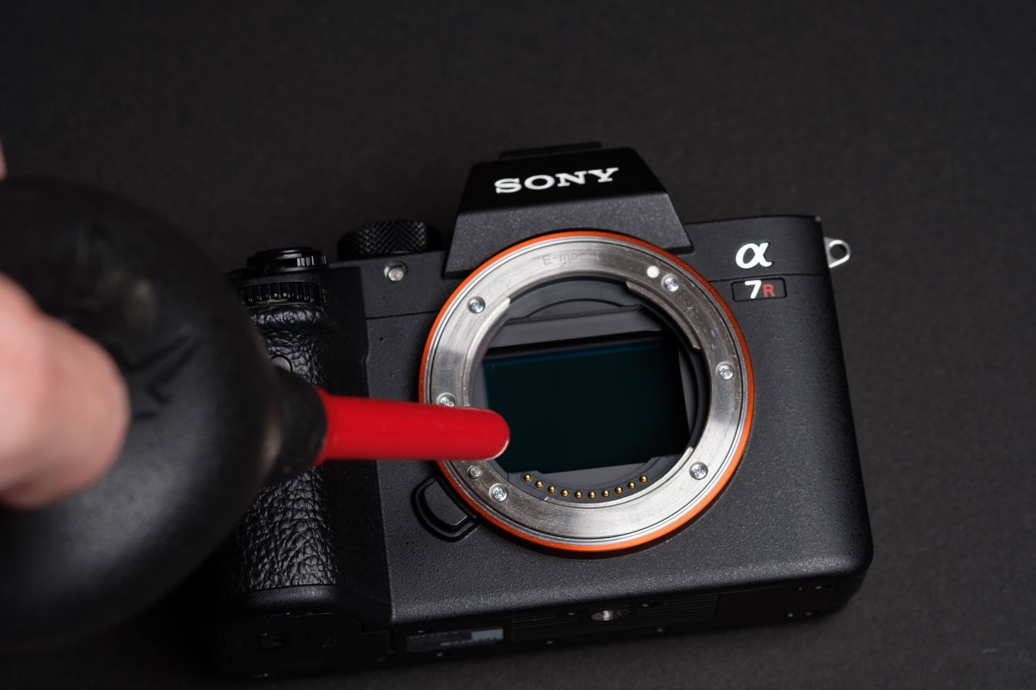 7 Must-Have Accessories Sony A7III, A7rIII | Alik Griffin