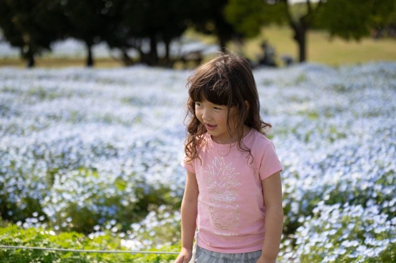 Unedited photo of a field of a girl posing in a field of flowers.