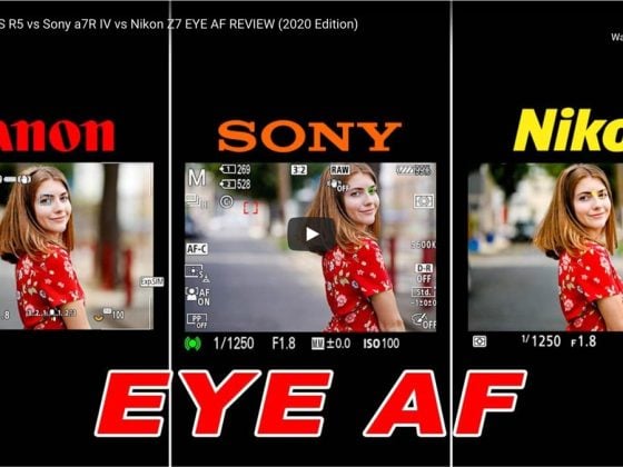Canon vs Nikon vs Sony Eye AF