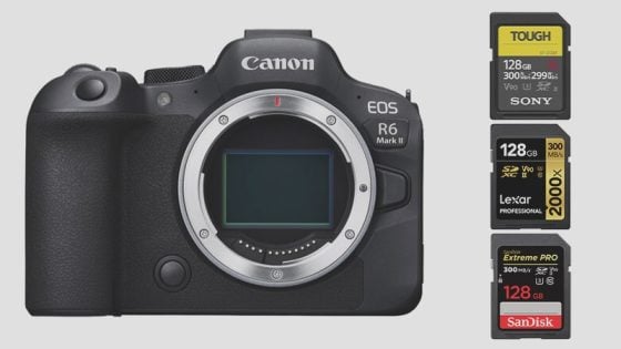 Best Memory Cards Canon R6 II