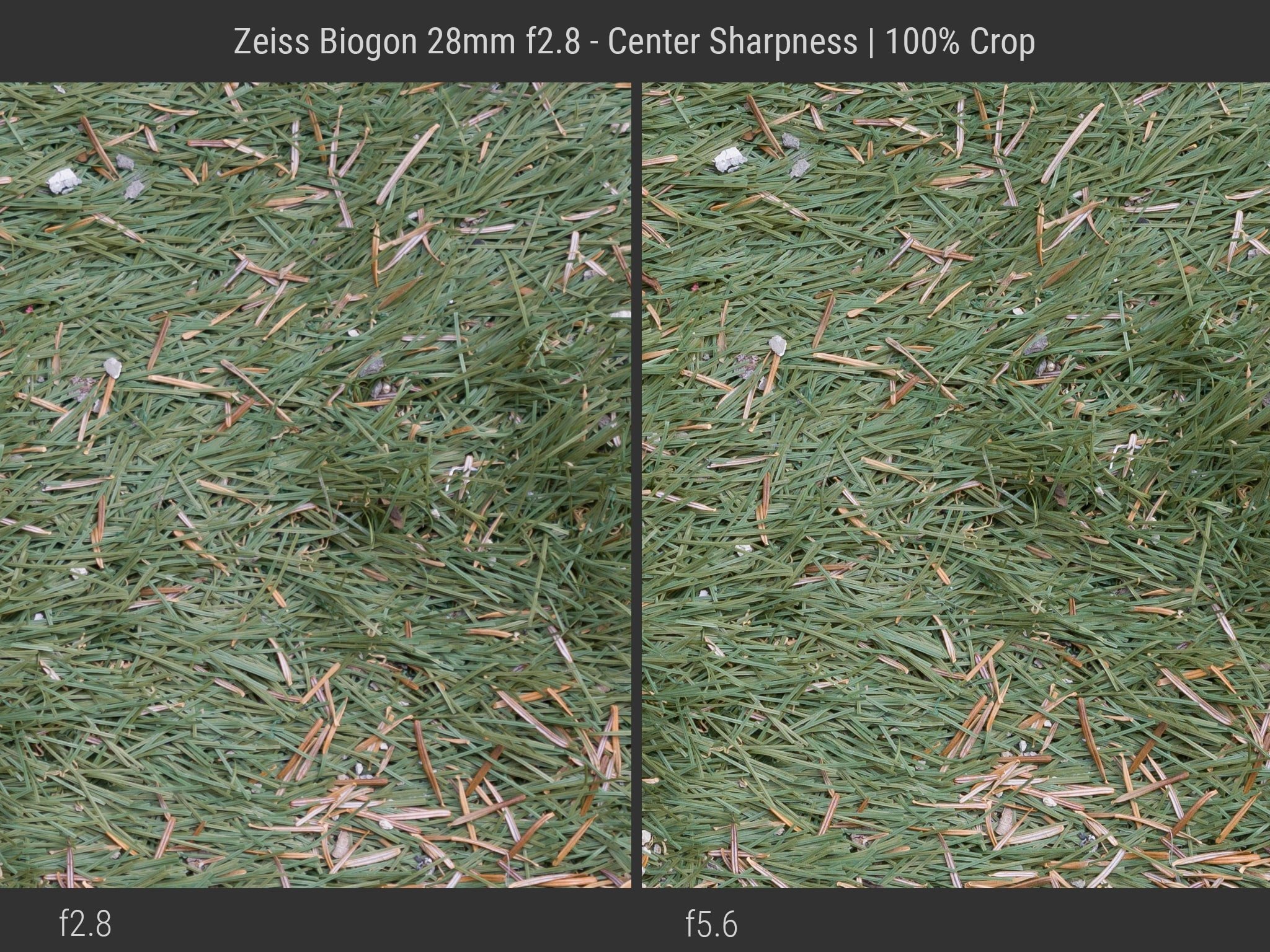 Zeiss 28mm f2.8 Center Sharpness Sample