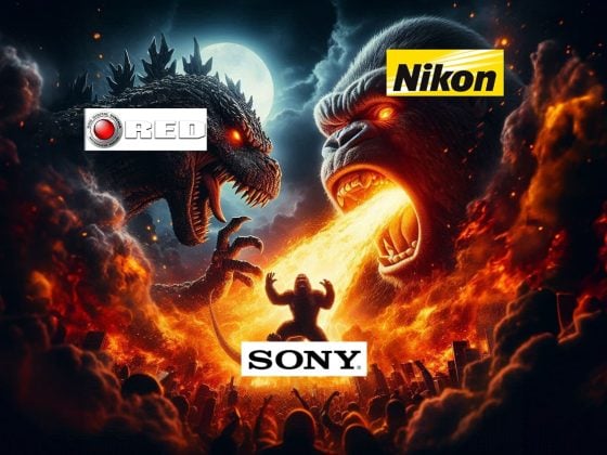 Nikon vs Sony