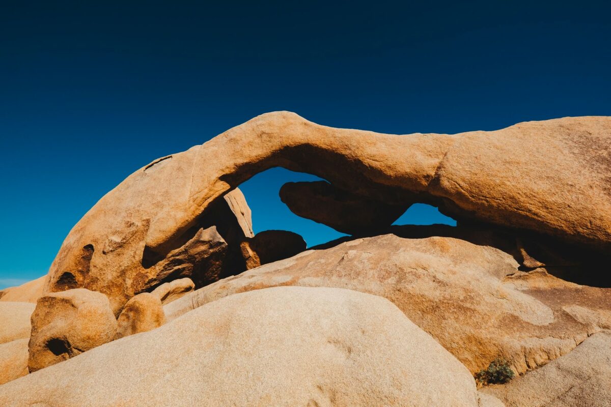 Joshua Tree - Fujifilm XT1 | Alik Griffin